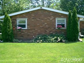 plantsrearhouse2.jpg (19119 bytes)