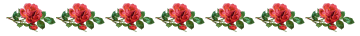 roselacebar.gif (4588 bytes)