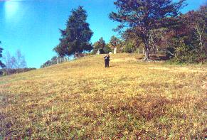 sowdercemeteryhillbeckyperry.jpg (19822 bytes)