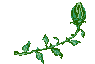 unfrose2.gif (1406 bytes)