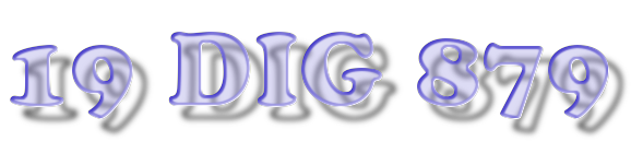 19 GIG 879