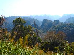 De jungle van Laos is vooral in de regentijd verpletterend mooi!!