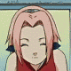 sakura2