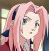 sakura