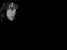 sample, black background with shadowed black and white image