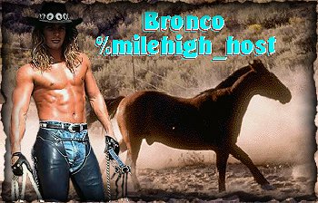 Bronco