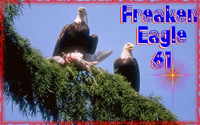 Freaken_Eagle61