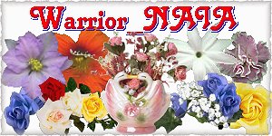 Warrior_NAIA