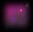 Takehito singing