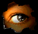 eye
