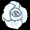 white rose