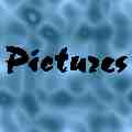 Pictures