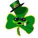 shamguyCLR.gif (25773 bytes)