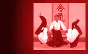 header image 2