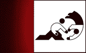header image 2