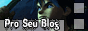 Pro Seu Blog