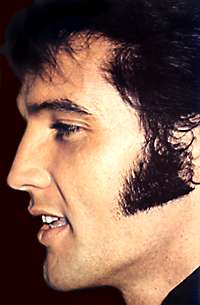 elvis_presley_gracy_mansion.jpg 8.7K