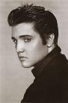 elvis_presley_photos.jpg 2.9K