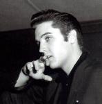elvis_presley_prelsey1.jpg 3.9K