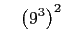 $\displaystyle \quad \left(9^3\right)^2$