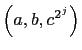$ \left(a,b,c^{2^j}\right)$