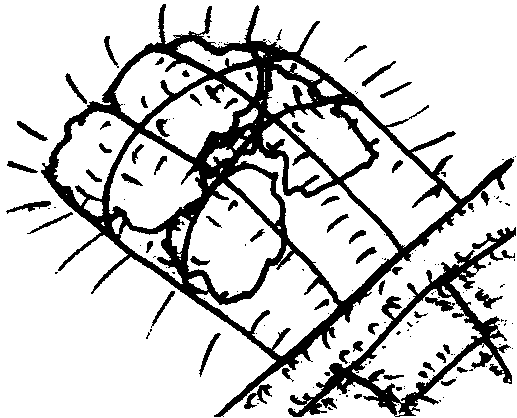 Energizing a jump net