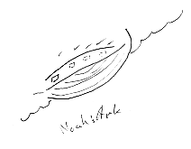 Survey Ship