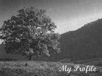 Contains my hobbies, interests, favorite links & books...etc