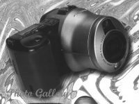 Contains photos of my honey, pet...