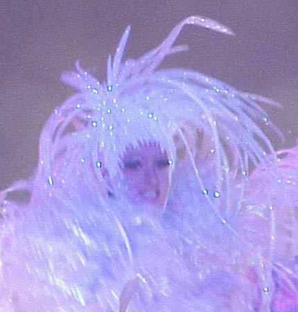 Cockatiealia1