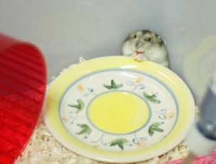 WAITER !!!!!!!