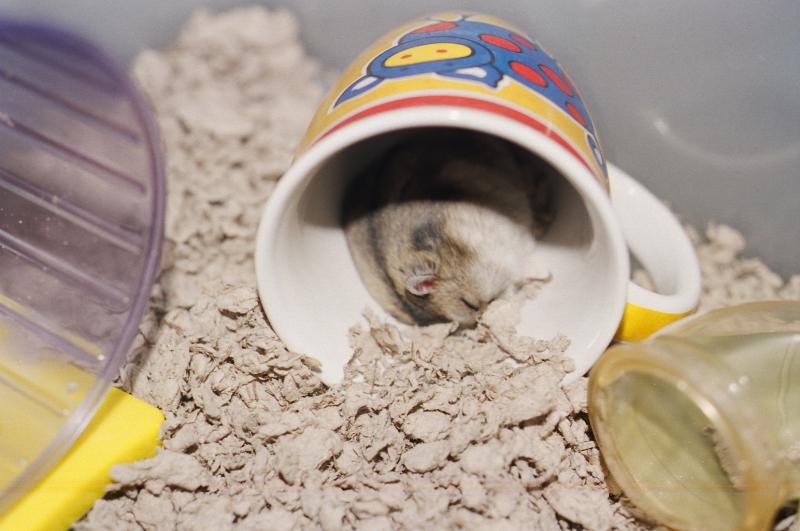 ZzzzzzFartsZZzzzzz