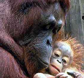 Loving mother