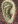 EAR OF KingArthur  LEVEL : 32