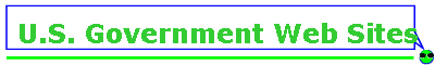 U.S. Government Web Sites