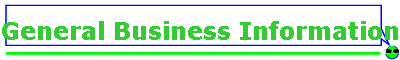 General Business Information
