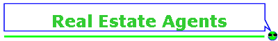 Real Estate Agents