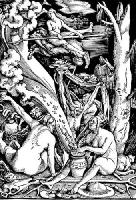 Witch-Sabbath-e-salem1.jpg 13.7K