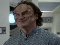 Phlox-Broken Bow