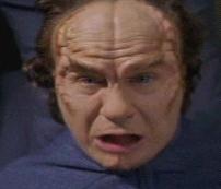 Phlox-Two Days and Two Nights