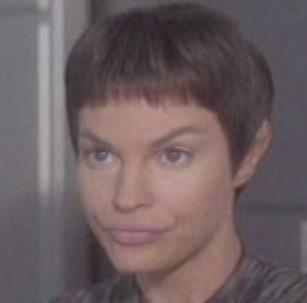 T'Pol-Fallen Hero