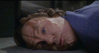 Phlox-Two Days and Two Nights