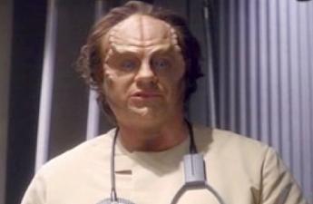 Phlox-Broken Bow