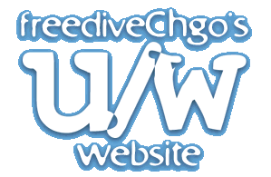 freediveChgo u/w website