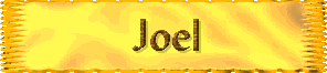 Joel