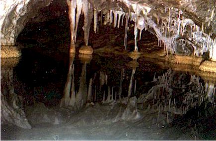 Front door to Freefallnz's Waitomo