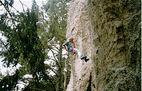 jbabs.gif (29148 bytes)