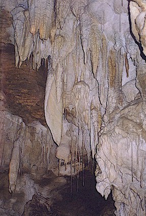 Max's Cave Pretty amazing eh!