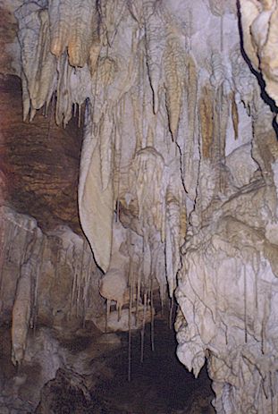 Formation Max's Cave Mangaphue