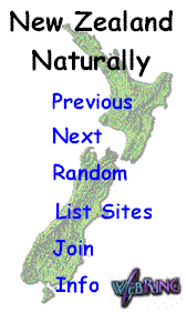 New Zealand Naturally